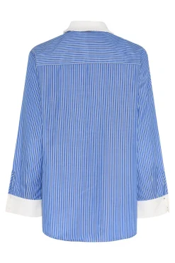 BorassusBBZiana shirt Dark Blue Stripe BBW4872