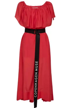 CMMOLLY TOMATO 206661