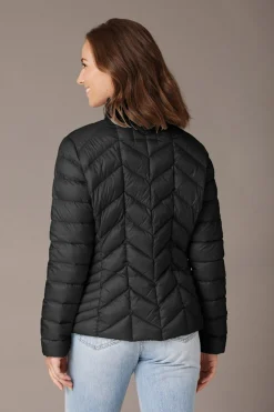 Daisy Black 0123204062