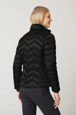 Daisy Black 0223204062