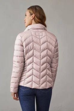 Daisy 33Blush 0125204062