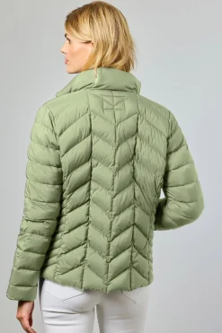 Daisy 41Cactus 0126204060