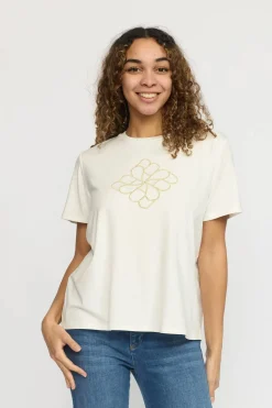 DARI.SP25 Cloud DARI.SP25