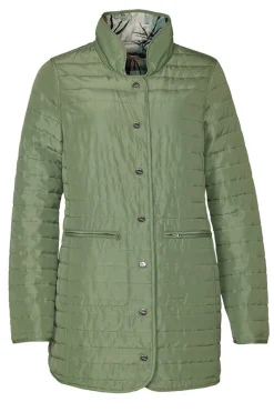 Dido 04 Cactus 71317 SweptX