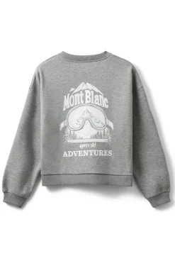 ELINSW SWEATSHIRT 8010 Grey melange S254440