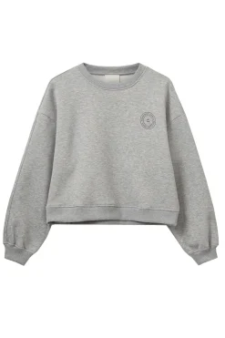 ELINSW SWEATSHIRT 8010 Grey melange S254510