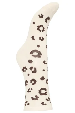 IAANYNNY SO Chestnut 191118 20125447