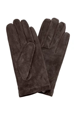 IALAI GL Java 20117171