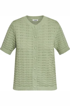 LiBrenda 3400 Spring Green L5307.2017